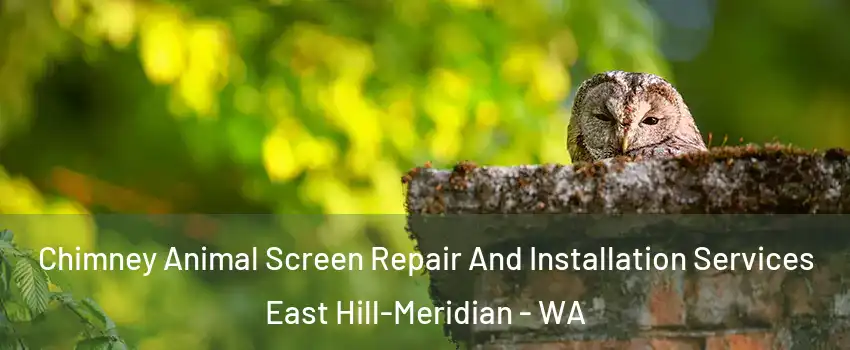  Chimney Animal Screen Repair And Installation Services East Hill-Meridian - WA