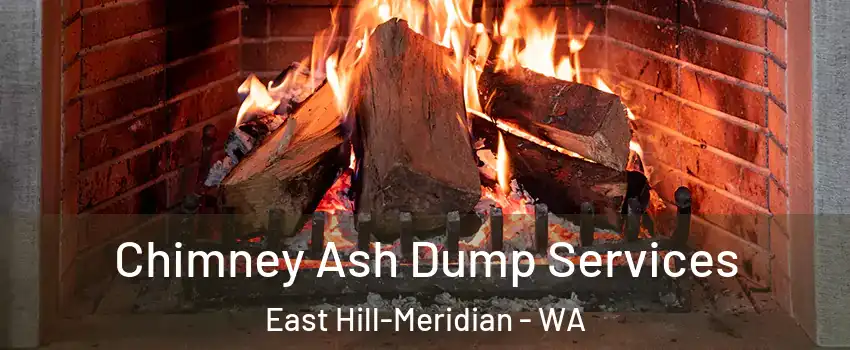 Chimney Ash Dump Services East Hill-Meridian - WA