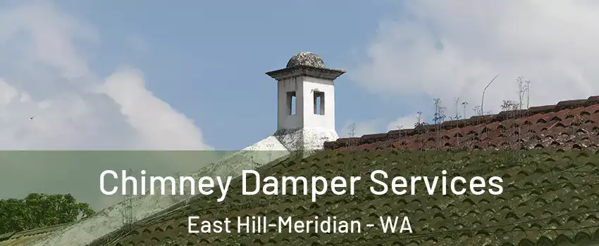  Chimney Damper Services East Hill-Meridian - WA