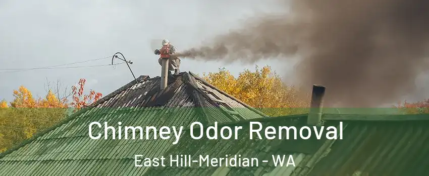  Chimney Odor Removal East Hill-Meridian - WA