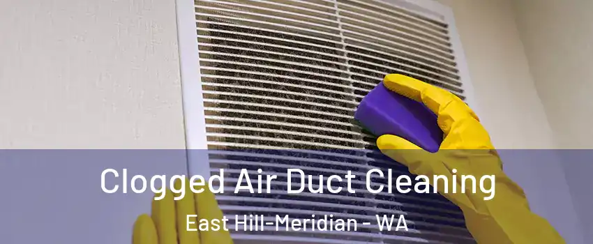  Clogged Air Duct Cleaning East Hill-Meridian - WA