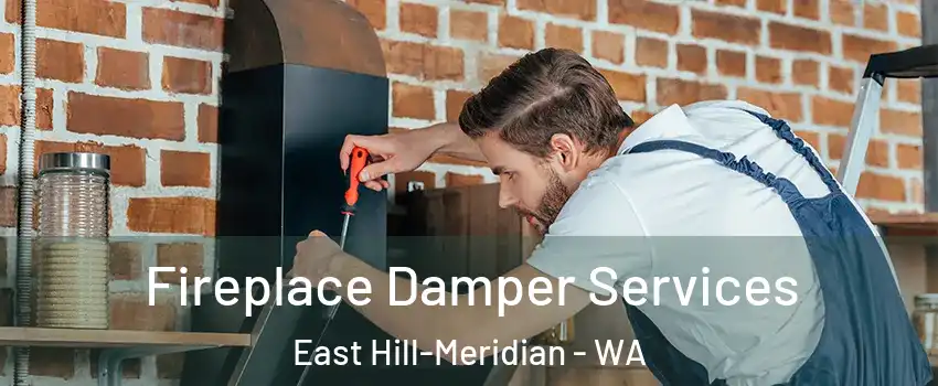  Fireplace Damper Services East Hill-Meridian - WA