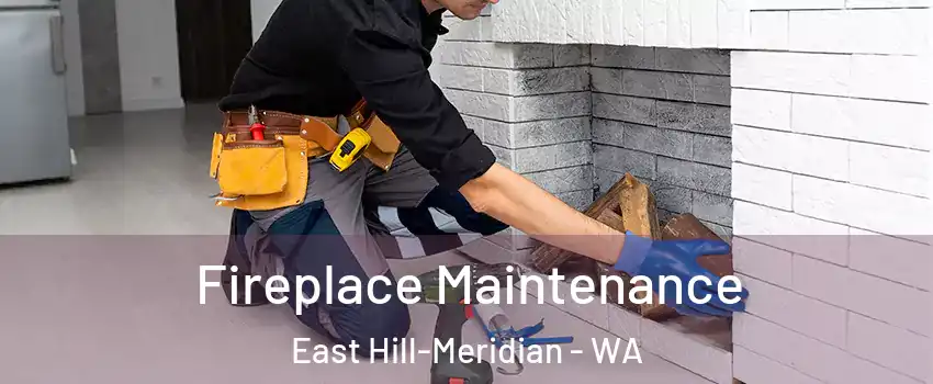  Fireplace Maintenance East Hill-Meridian - WA