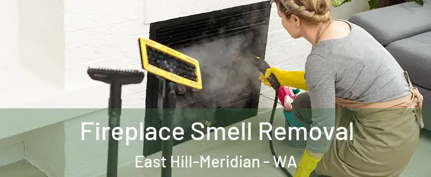  Fireplace Smell Removal East Hill-Meridian - WA