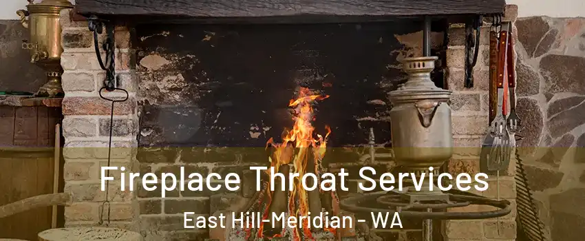  Fireplace Throat Services East Hill-Meridian - WA
