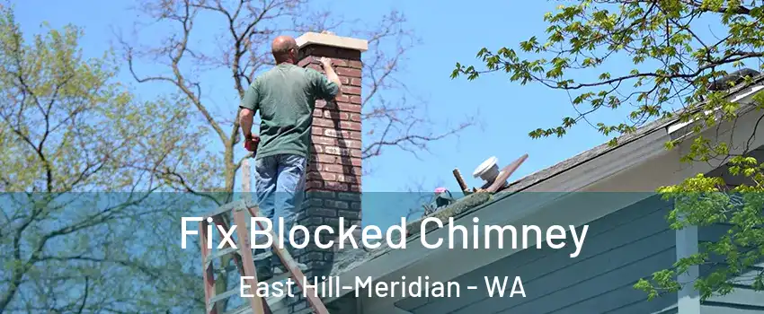  Fix Blocked Chimney East Hill-Meridian - WA