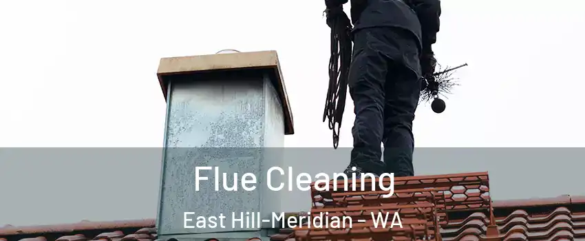  Flue Cleaning East Hill-Meridian - WA