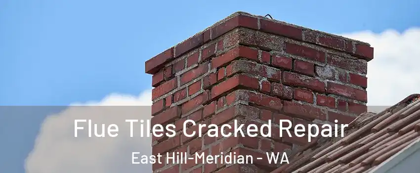  Flue Tiles Cracked Repair East Hill-Meridian - WA