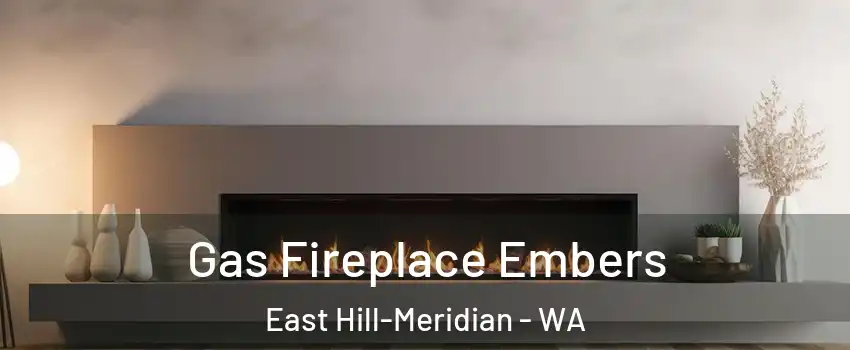  Gas Fireplace Embers East Hill-Meridian - WA