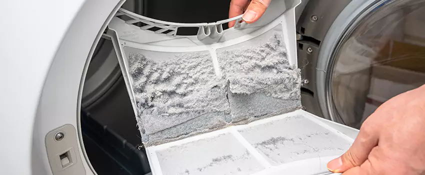 Best Dryer Lint Removal Company in East Hill-Meridian, Washington