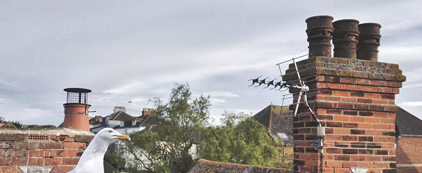 Chimney Cleaning And Restoration in East Hill-Meridian, Washington