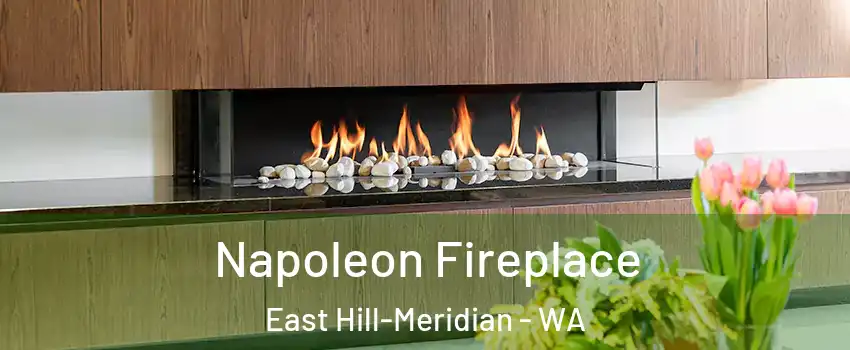  Napoleon Fireplace East Hill-Meridian - WA