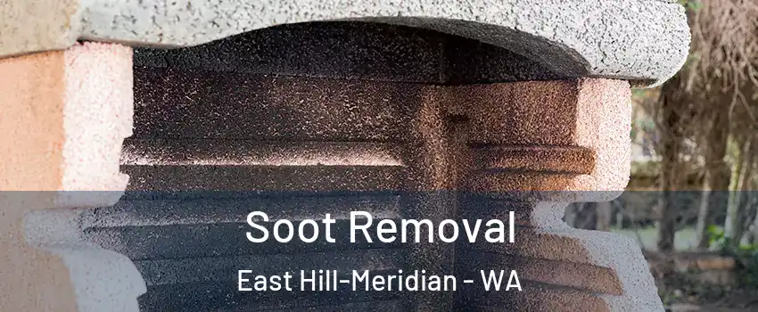  Soot Removal East Hill-Meridian - WA